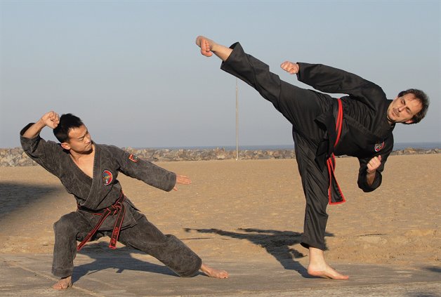 Viet Vo Dao